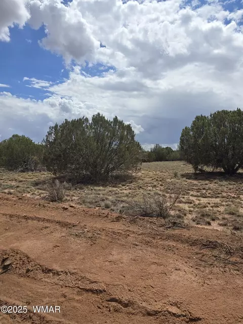 4979 W Tharp Rd, Snowflake, AZ 85937 photo 3