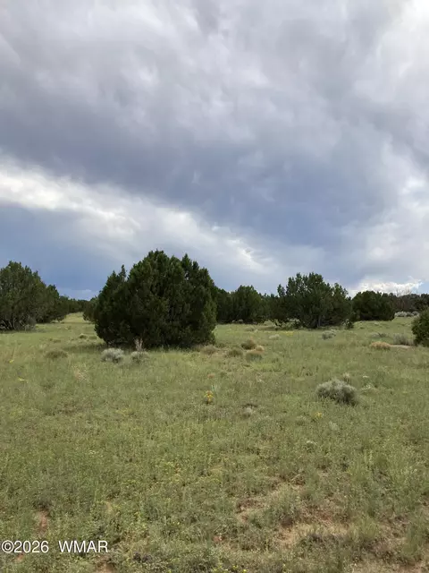 4979 W Tharp Rd, Snowflake, AZ 85937 photo 9