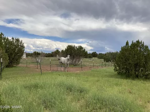 4979 W Tharp Rd, Snowflake, AZ 85937 photo 13