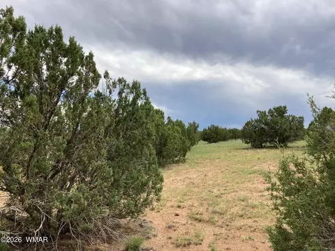 4979 W Tharp Rd, Snowflake, AZ 85937 photo 10