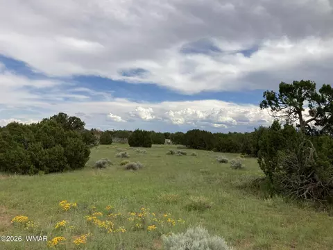 4979 W Tharp Rd, Snowflake, AZ 85937 photo 17
