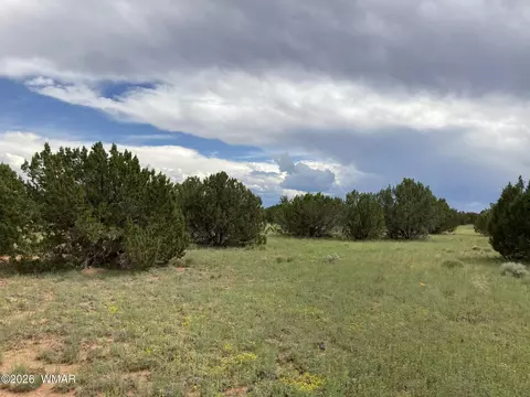 4979 W Tharp Rd, Snowflake, AZ 85937
