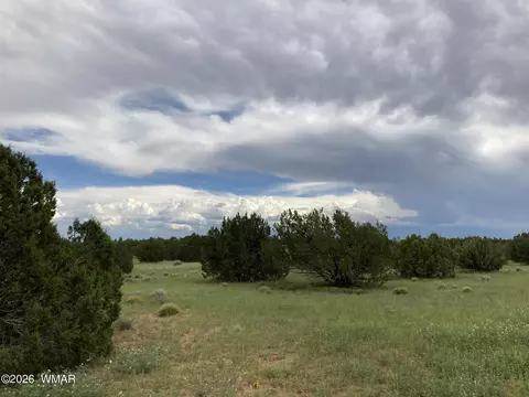 4979 W Tharp Rd, Snowflake, AZ 85937 photo 16