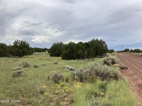 4979 W Tharp Rd, Snowflake, AZ 85937 photo 8