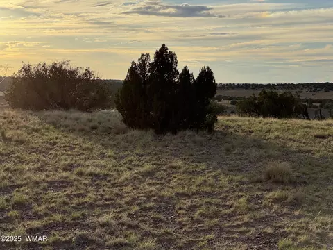 1 N 9023, Concho, AZ 85924