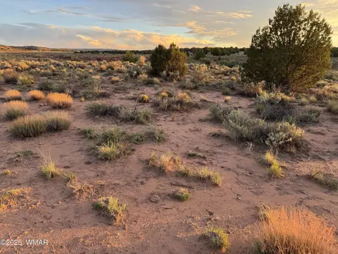 1 N 9023, Concho, AZ 85924 photo 12