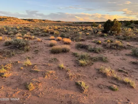 1 N 9023, Concho, AZ 85924 photo 11