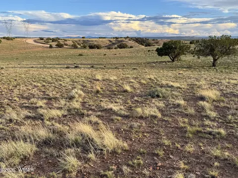 1 N 9023, Concho, AZ 85924 photo 2