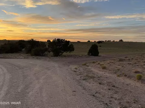 1 N 9023, Concho, AZ 85924 photo 13
