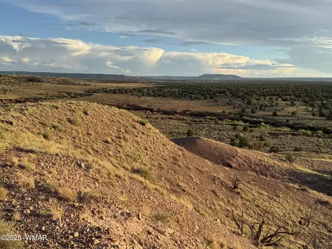 1 N 9023, Concho, AZ 85924 photo 6