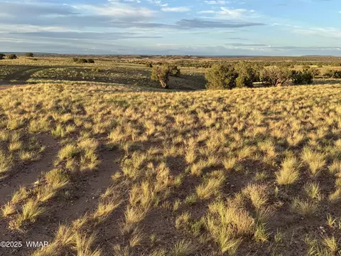 1 N 9023, Concho, AZ 85924 photo 7