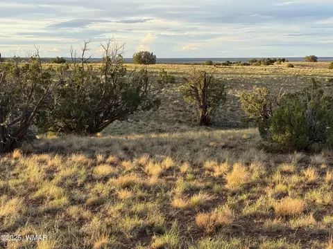 1 N 9023, Concho, AZ 85924 photo 8
