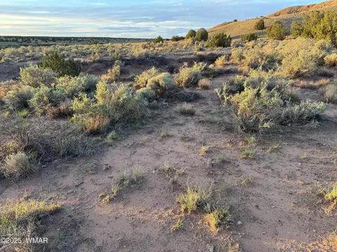 1 N 9023, Concho, AZ 85924 photo 10