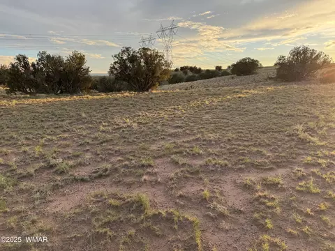1 N 9023, Concho, AZ 85924 photo 9