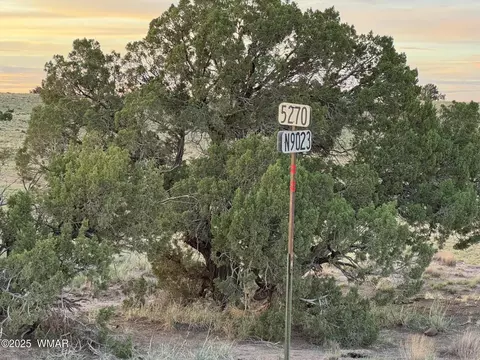 1 N 9023, Concho, AZ 85924 photo 14