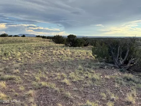1 N 9023, Concho, AZ 85924 photo 4
