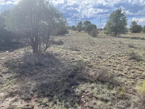 2752 Zane Grey Blvd, Overgaard, AZ 85933