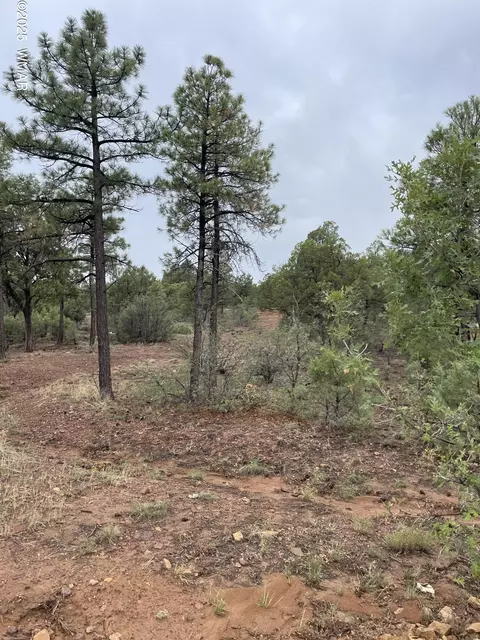 631 S Haven Dr, Show Low, AZ 85901