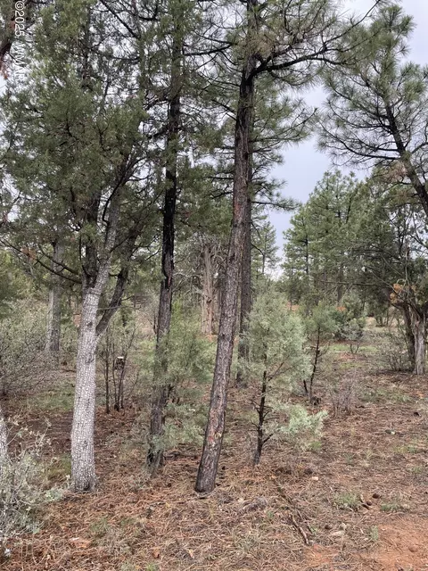 590 S Pine Haven Dr, Show Low, AZ 85901
