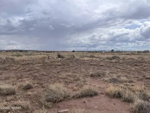 21 County Road 6010, Saint Johns, AZ 85936