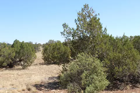 Section 9 T14n, Heber, AZ 85928
