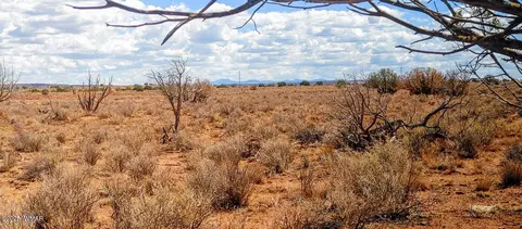 006 Willis Ranch Ln # S, Snowflake, AZ 85937