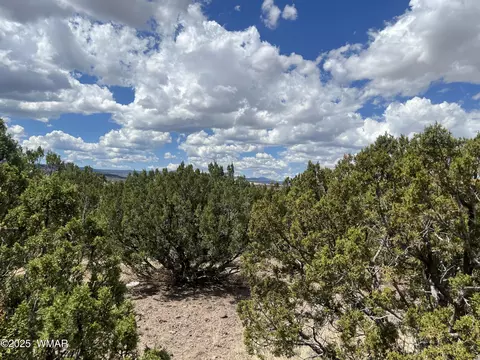 tbd Hidden Valley Dr, Eagar, AZ 85925 photo 2