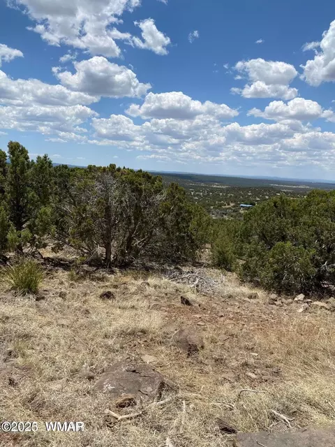 lot384 Show Low Pnes UNIT 10, Concho, AZ 85924