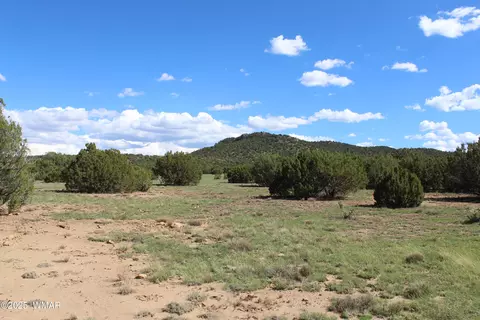 10 Co Rd 3044, Concho, AZ 85924