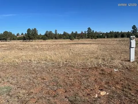 2310 Quarter Horse Trl, Overgaard, AZ 85933