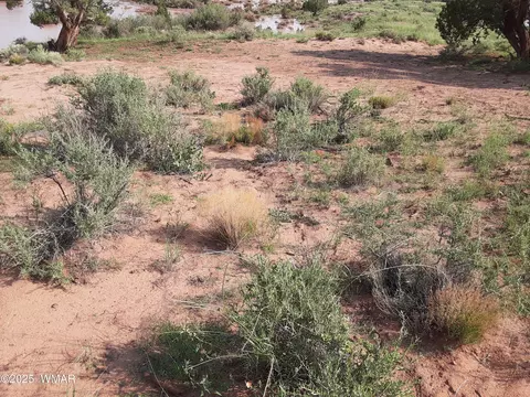 14 Eagle Rd, Snowflake, AZ 85937 photo 10