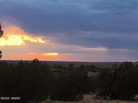 14 Eagle Rd, Snowflake, AZ 85937 photo 21