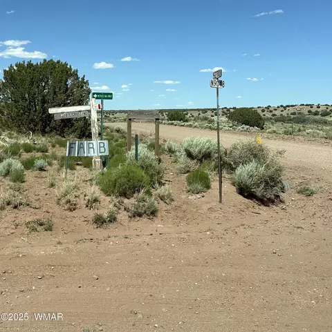 14 Eagle Rd, Snowflake, AZ 85937 photo 6