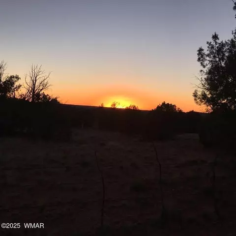 14 Eagle Rd, Snowflake, AZ 85937 photo 16
