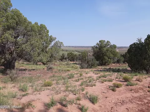 14 Eagle Rd, Snowflake, AZ 85937 photo 13
