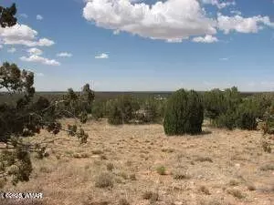 lot361 Chevelon Canyon Rnch, Heber, AZ 85928
