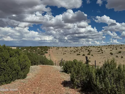 tbd Falcon Dr, Taylor, AZ 85939