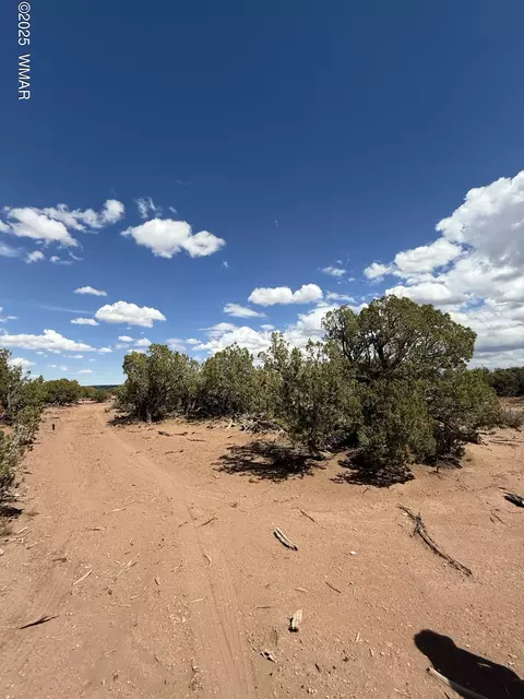 8933 Blue Jay Ln, Snowflake, AZ 85937