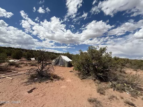 8933 Blue Jay Ln, Snowflake, AZ 85937 photo 9