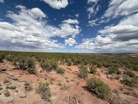 8933 Blue Jay Ln, Snowflake, AZ 85937 photo 5