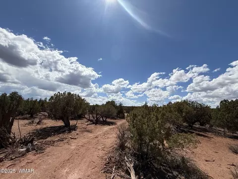 8933 Blue Jay Ln, Snowflake, AZ 85937 photo 16