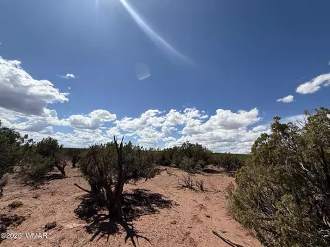 8933 Blue Jay Ln, Snowflake, AZ 85937 photo 14