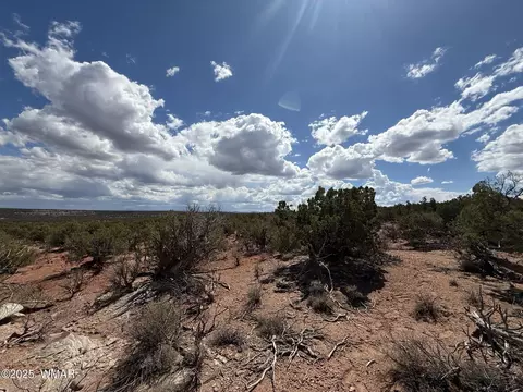 8933 Blue Jay Ln, Snowflake, AZ 85937 photo 10