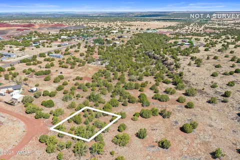 8798 Robbins Pl, Show Low, AZ 85901
