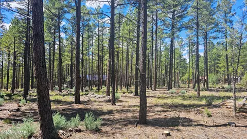 234 Deer Run Rd, Lakeside, AZ 85929