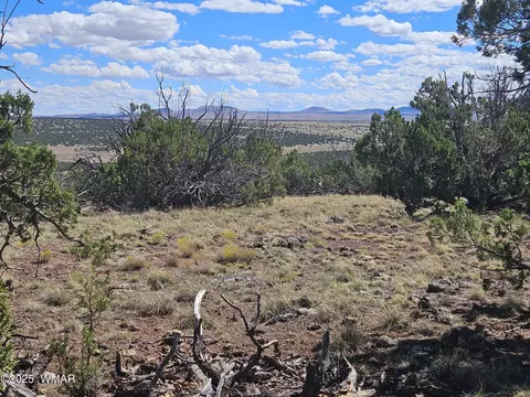 tbd N8339, Concho, AZ 85924