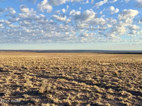 13 Kerr Mcgee Rd, Chambers, AZ 86502 photo 3