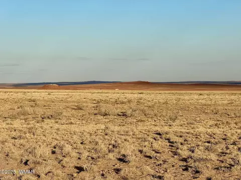 13 Kerr Mcgee Rd, Chambers, AZ 86502 photo 16