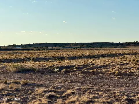 13 Kerr Mcgee Rd, Chambers, AZ 86502 photo 19
