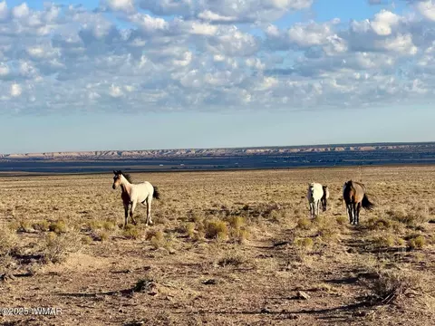 13 Kerr Mcgee Rd, Chambers, AZ 86502 photo 5